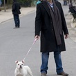 alain chabat promenant tr  sor