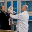 alain chanbat menant tr  sor chez le v  t  rinaire