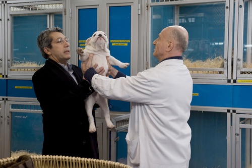 alain chanbat menant tr  sor chez le v  t  rinaire
