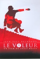 Affiche miniature du film Le voleur
