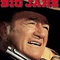 Affiche du film Big Jake - Big Jake 