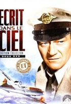 Affiche miniature du film Ecrit dans le ciel