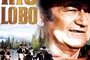 Affiche du film Rio Lobo