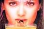 Affiche du film Une vie de rêve