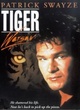 Affiche du film Tiger Warsaw