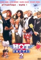 Affiche miniature du film Hot shots ! 2