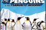 Affiche du film Farce of the penguins