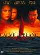 Affiche du film Calme blanc
