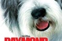 Affiche du film Raymond