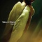 affiche teaser am ricaine 5 - X-Men 3 : l'affrontement final 