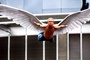 ben foster volant