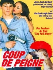 Affiche du film Coup de peigne