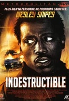 Affiche miniature du film Indestructible