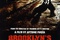 Affiche du film L'élite de Brooklyn