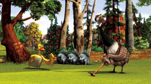 des oiseaux