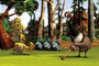 des oiseaux