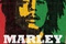 Affiche du film Marley 