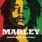 Affiche du film Marley  - Marley 