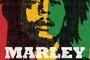 Affiche du film Marley 