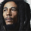 le-chanteur-de-reggae-jpg