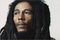 le-chanteur-de-reggae-jpg