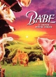 Affiche du film Babe, le cochon devenu berger