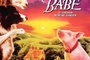 Affiche du film Babe, le cochon devenu berger