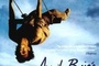 Affiche du film Avril Brisé