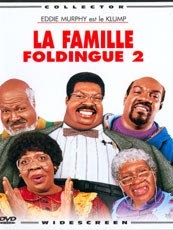 Affiche du film Le Professeur Foldingue 2 : La famille Foldingue
