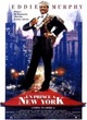 Affiche du film Un Prince à New York