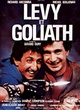 Affiche du film Lévy et Goliath