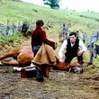 marc lavoine soignant un cheval