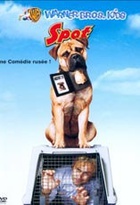 Affiche miniature du film Spot