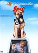 Affiche du film Spot