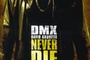 Affiche du film Never Die Alone