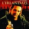 Affiche du film L'Irlandais - L'Irlandais 