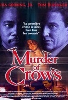 Affiche miniature du film Murder of Crows