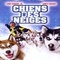 Affiche du film Chiens des neiges - Chiens des neiges 
