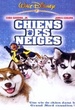 Chiens des neiges 