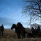 tournage du film solomon kane 2 - Solomon Kane 