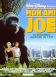 Affiche du film Mon ami Joe