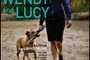 Affiche du film Wendy et Lucy