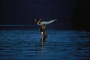 entrainement patrick swayze jennifer grey