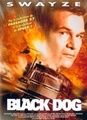 Black Dog
