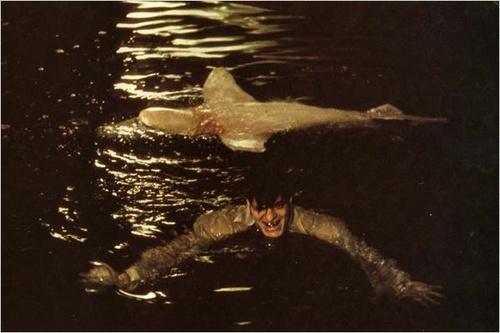 richard-kiel-et-un-requin-jpg