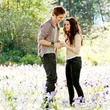 edward et bella