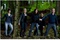 scene Twilight 3