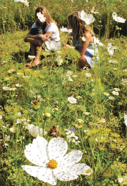 photo du film 7
