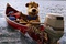 Yogi sur le bateau