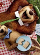 Yogi Bear, poster teaser pic-nic